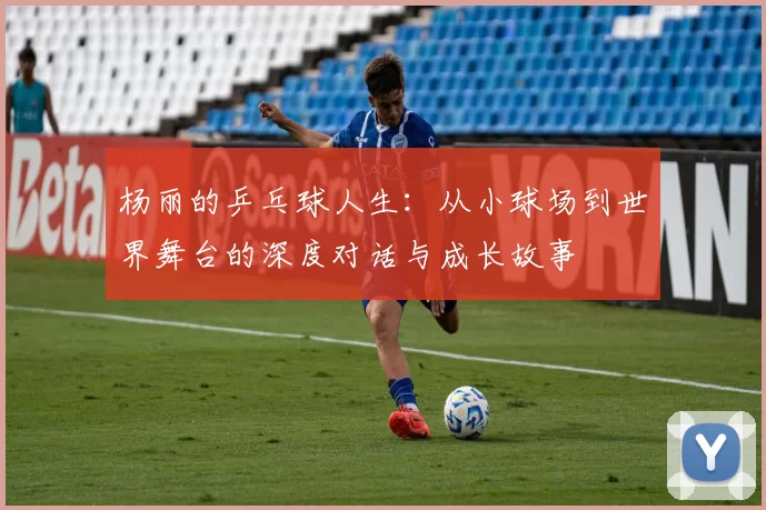 杨丽的乒乓球人生:从小球场到世界舞台的深度对话与成长故事