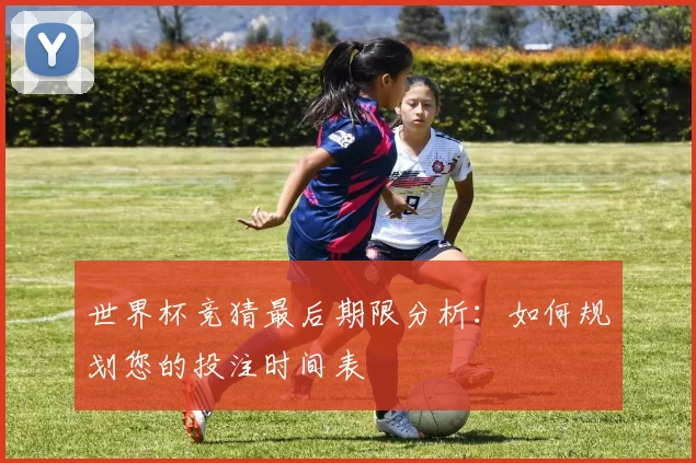 世界杯竞猜最后期限分析:如何规划您的投注时间表