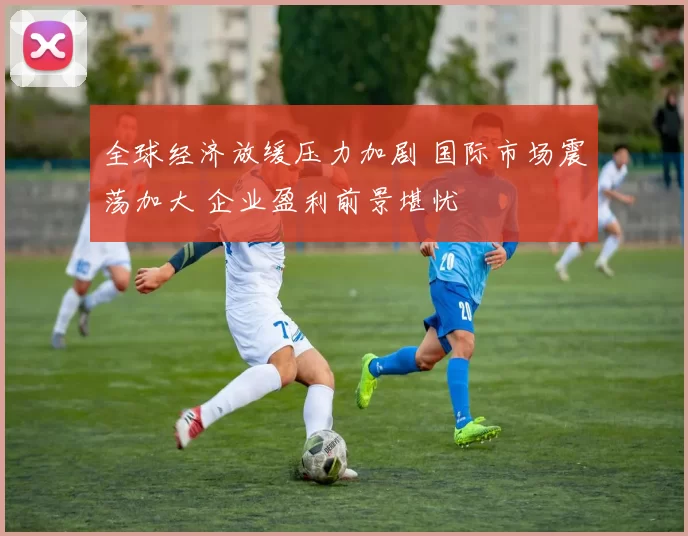 全球经济放缓压力加剧 国际市场震荡加大 企业盈利前景堪忧