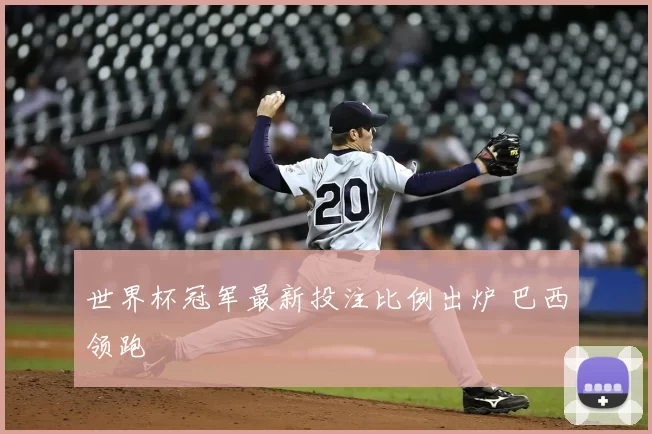 世界杯冠军最新投注比例出炉 巴西领跑