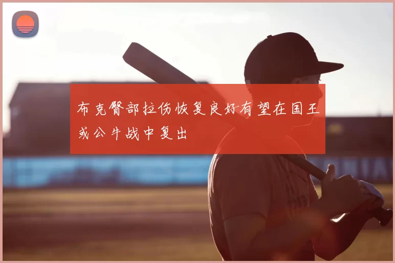 布克臀部拉伤恢复良好有望在国王或公牛战中复出