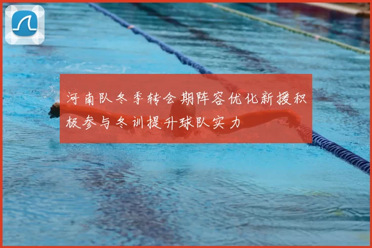 河南队冬季转会期阵容优化新援积极参与冬训提升球队实力