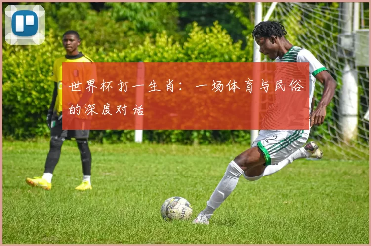 世界杯打一生肖:一场体育与民俗的深度对话